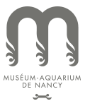 (FR) Musée Aquarium de Nancy